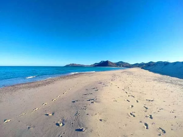 Cabo Pulmo Eco Palapa East Cape Baja