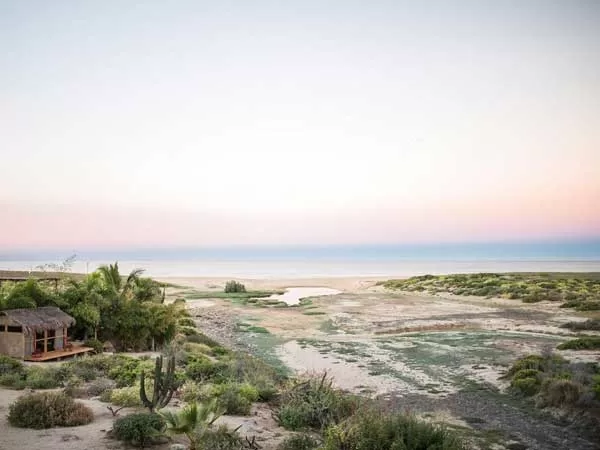 Todos Santos Surf La Pastora