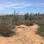 Lot Hidden Gem 186 Lot in Cerritos