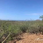 Lote Rey De Montana, El Pescadero Lot in El Pescadero