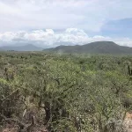 Lote Vecino Casa Nick 0970 Lot in Cerritos